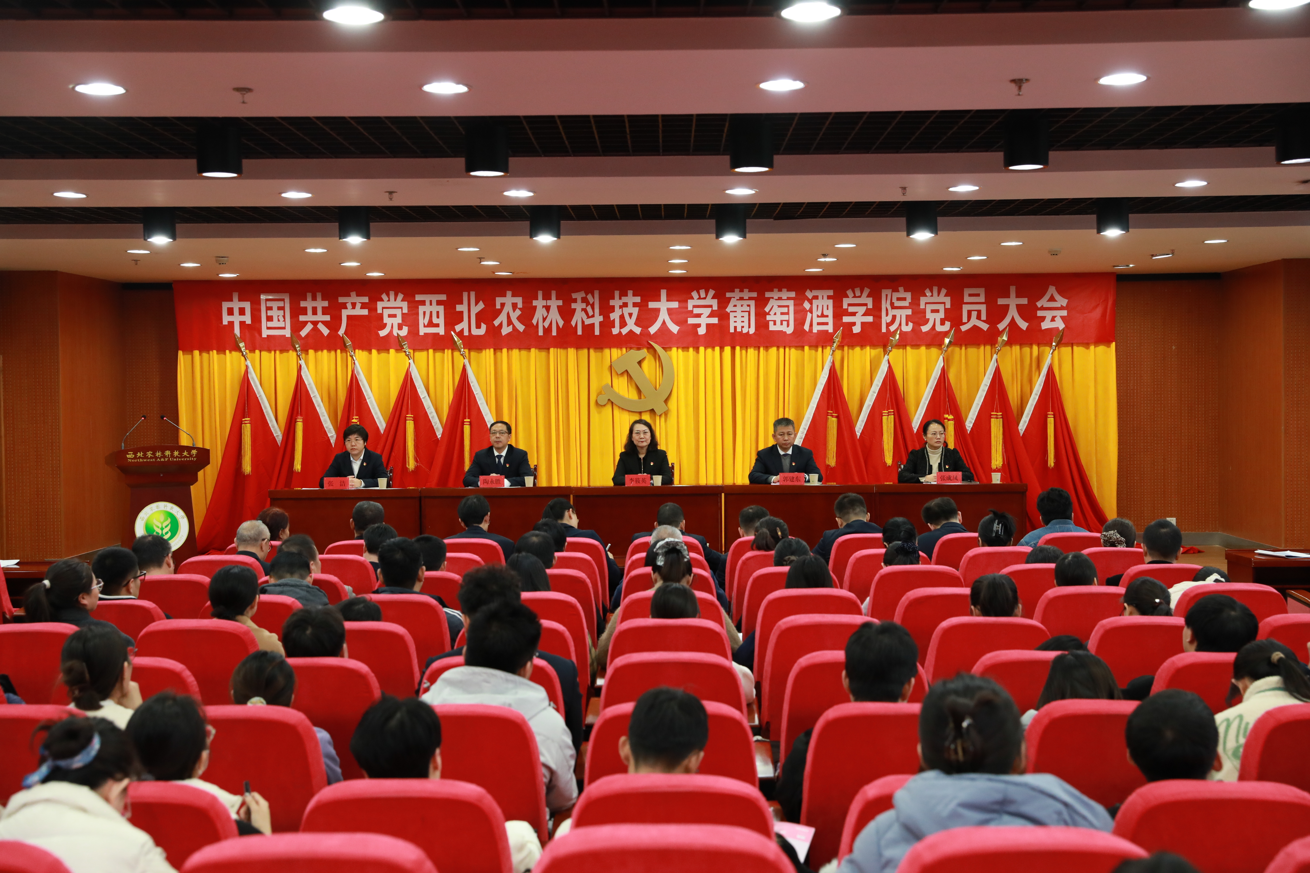 会议全景1.JPG